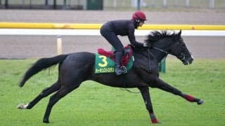 【ジャパンカップ】A.オブライエン師「馬の状態には非常に満足」外国馬調教