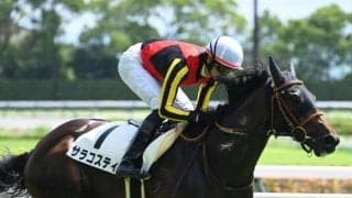 【京都2歳S枠順確定】サラコスティは2枠2番、エリキングは8枠8番