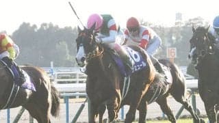 23年マイルCSなど重賞3勝のナミュールが登録抹消 ノーザンファームで繁殖入りへ