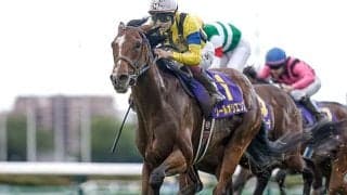 ジャパンC史上初の「馬番12番V」へ！ 23年皐月賞馬が復活V狙う