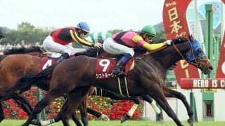 【競馬予想】ジャパンカップはキレ味勝負 超ド級の穴馬が高額配当を演出か