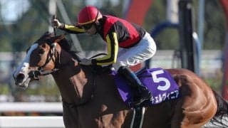 【競馬予想】ＧＩジャパンカップ、チェルヴィニアは古馬一線級相手に太刀打ちできるか