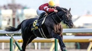 東京芝は内外フラット キャピタルSは昨年の覇者に注目