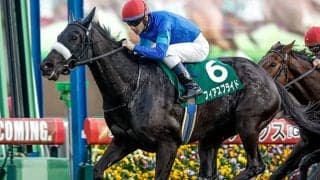 23年ターコイズS覇者フィアスプライドが引退 今後はダーレー・ジャパン・ファームで繁殖入りへ