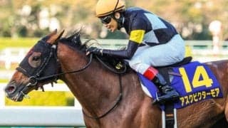 半姉は英仏G1馬、半兄は菊花賞馬 期待の良血が川田将雅騎手背に初陣