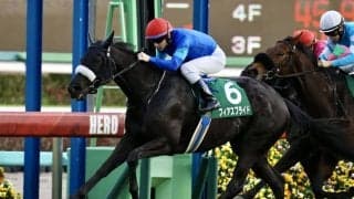 フィアスプライドの競走馬登録抹消…繁殖入り