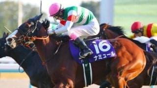 ナミュールが引退、繁殖入り