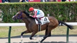 レモンポップやアマンテビアンコが飛躍 大物続々のカトレアS