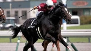 【今日の注目ポイント】京都2歳Sでエリキングの無傷3連勝なるか