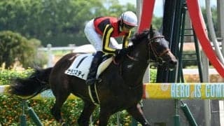 【京都2歳S予想】昨年はシンエンペラーが勝利 中距離路線のホープ集う一戦に