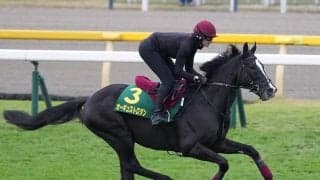 【競馬予想】ＧＩジャパンカップに挑む評判の外国馬--本気で勝ちに来たのはどの馬だ