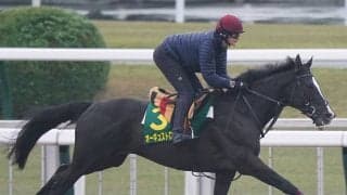 【競馬血統予想】ビッグネーム集結のジャパンカップで注目はディープインパクト産駒　出走する２頭の信頼度は？