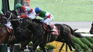 【ステイヤーズS想定馬・騎手】シュヴァリエローズ、アイアンバローズなど12頭