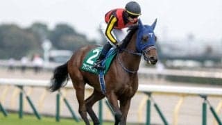 【阪神JF想定馬・騎手】米国馬メイデイレディ、ブラウンラチェットなど22頭