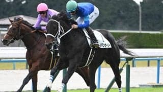 【京都5R新馬戦結果】バーナーディニ産駒のワイルデンウーリーが人気に応えてV