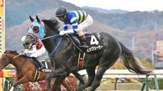 【京阪杯前日オッズ】ビッグシーザーが6.0倍で1番人気