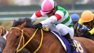 母は桜花賞馬のハープスター ヴァルチャースターが注目の初陣だ