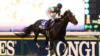 【ジャパンC近10年の傾向】10万超えの大波乱無し 特に近年は堅い決着続く