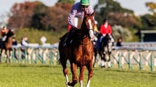 【キャピタルS】フランス馬・ルノマドは13着敗退…ウォーターリヒトがV