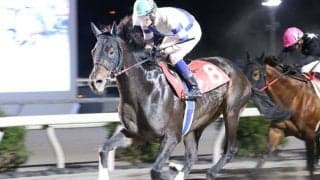 【高知・仁淀川特別】ロッキーサンダーが快勝…赤岡「もう少し長い方が」