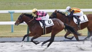 【新馬/京都6R】スマートシーカーがデビューV