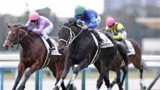 【新馬/京都5R】外国馬ワイルデンウーリーが人気に応える…2番人気スニーカースキルは最下位