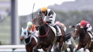 【京都3R】シュバルツマサムネの後方一気炸裂…良血サリーチェは2着