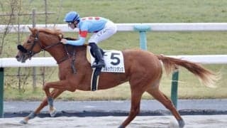 【京都2R】ルヴァンスレーヴ産駒 ブルックリンダンスが初勝利