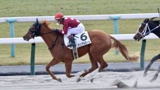 【京都1R】モズアスコット産駒 デュアルロールが初勝利