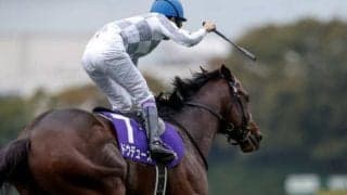 【今日の注目ポイント】ジャパンCでドウデュースなどが強力外国勢を迎え撃つ