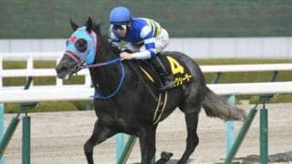 【京阪杯予想】ジャパンCのあとにも注目の一戦 晩秋の淀でスピード自慢が覇を競う