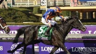 【ジャパンC予想】1着賞金5億円かけた夢の大一番 国内外からトップホースが集結