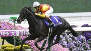 【ジャパンC】連続的中の鉄板パターンは継続可能？ 過去データで探るGIジャパンC