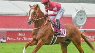 東京芝はやや外伸びか シンエンペラー＆チェルヴィニアに注目