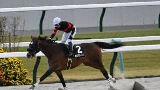 【カノープスS結果】ホウオウルーレットが差し切り快勝