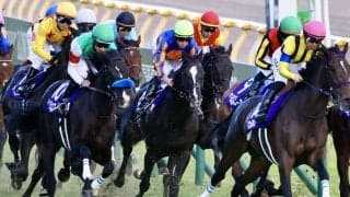 【ジャパンカップ】オーギュストロダンはラストラン飾れず