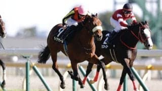 【ベゴニア賞】C.デムーロ騎乗 良血ディアナザールが2勝目