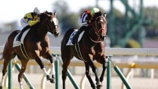 【新馬/東京6R】3億円ホース・ジュタがデビューV