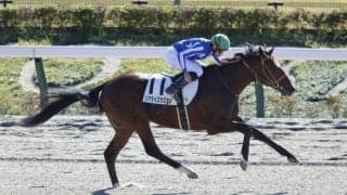 【新馬/東京5R】ムーア騎乗 リアライズカミオンがデビューV