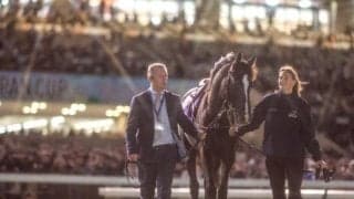 オーギュストロダンの引退お披露目式が行われる 関係者5名のコメント