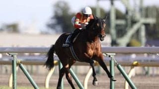 【アーモンドアイC】タッチウッドが1年7ヶ月ぶりレースを逃げ切る