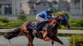 ダート王者決定戦チャンピオンズCなど3重賞/今週の競馬界の見どころ