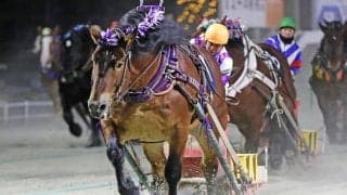 【ばんえい・ドリームエイジカップ】メムロボブサップ重賞21勝目