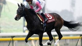 同期ディープインパクトからオルフェーヴルまで トウカイトリックが戦った馬たち