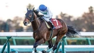 【ステイヤーズS見どころ】アイアンバローズの連覇に期待