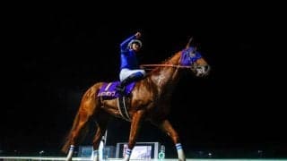 【チャンピオンズC見どころ】レモンポップが連覇有終の美を飾るか