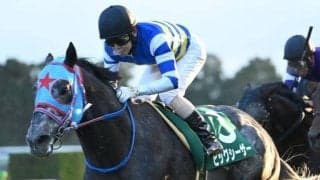 【京阪杯】売上は50億5147万3700円で昨年より約6.4億円減少