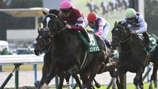 【京都2歳S】売上は25億8815万4200円で昨年より約11.4億円の大幅減