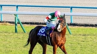 【先週のJRA抹消馬】昨年のマイルCS覇者ナミュール、今年のヴィクトリアM2着馬フィアスプライドなど