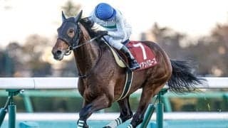 【ステイヤーズS想定騎手】アイアンバローズは石橋脩騎手、ゴールデンスナップは坂井瑠星騎手